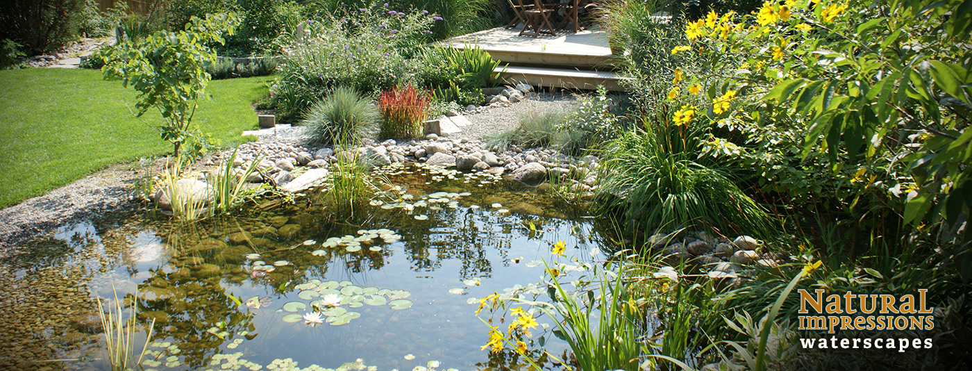 How often will you need to refill your water feature?